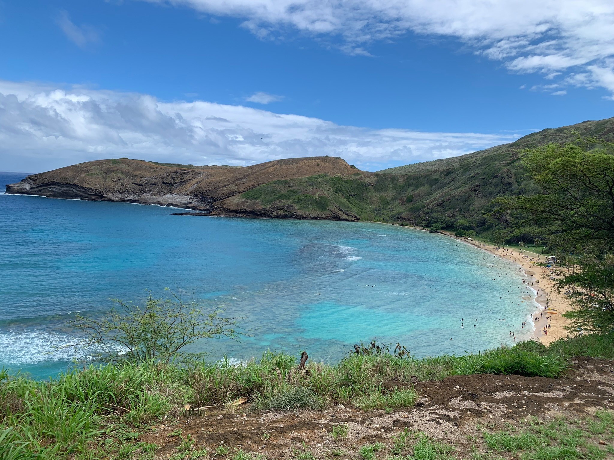 Swim with Sea Turtles - Oahu, Hawaii